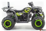 Квадроцикл Motoland Wild Track Lux 2021г. — изображение 4
