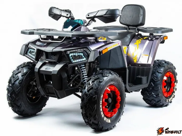 kvadrotsikl-motoland-wild-track-x-2021g-0 Квадроцикл Motoland Wild Track X 2022г. — изображение 1