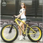 Электровелосипед Lovefreedom 500w