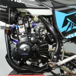 Мотоцикл Avantis Enduro 300 CARB PRO EXCLUSIVE (CBS300/174MN-3) ARS с ПТС — изображение 12