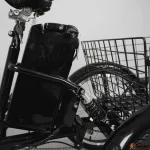 Электровелосипед трехколесный Omnibike 350 36V 12Ah Красный — изображение 5