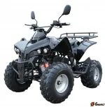 Электроквадроцикл Quad Electro 1000W 20Ah — изображение 4