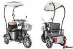 Электротрицикл Rutrike S1 V2 с крышей — изображение 3