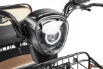 Электротрицикл Rutrike S1 V2 с крышей — изображение 6