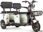 Электротрицикл Rutrike Трансформер — изображение 3