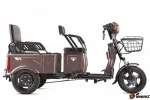 Электротрицикл Rutrike Вагон — изображение 11