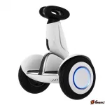 Сигвей Zeissboard Strimer Plus 54 белый