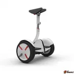 Сигвей Zeissboard Strimer PRO 36 белый — изображение 2