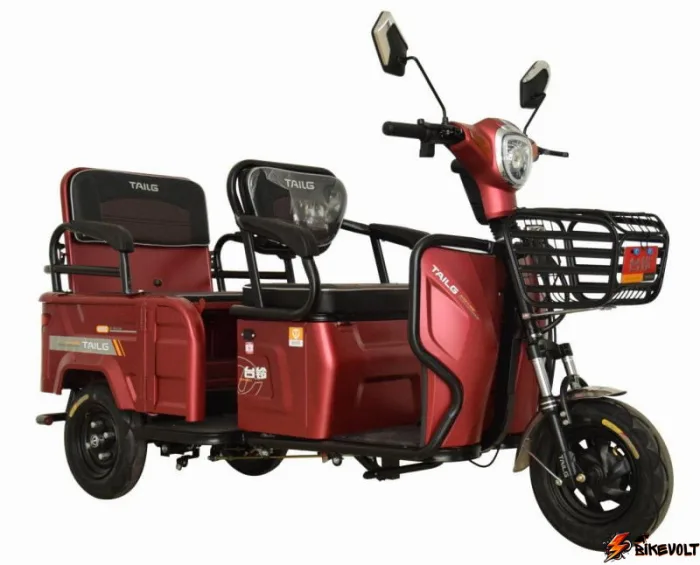 trehkolesnij-jelektroskuter-tailg-tl-350-j06-0 Электроскутер TaiLG TL 350-J06 — изображение 1