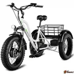 Электровелосипед трехколесный bikevolt Grizzly M5 700W 36V/15Ah