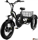 Электровелосипед трехколесный bikevolt Grizzly M5 700W 36V/15Ah — изображение 2
