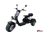 Трехколесный электроскутер GT TRIKE 2000 — изображение 13