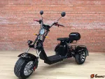 Трехколесный электроскутер GT TRIKE 2000 — изображение 14