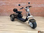 Трехколесный электроскутер GT TRIKE 2000 — изображение 8