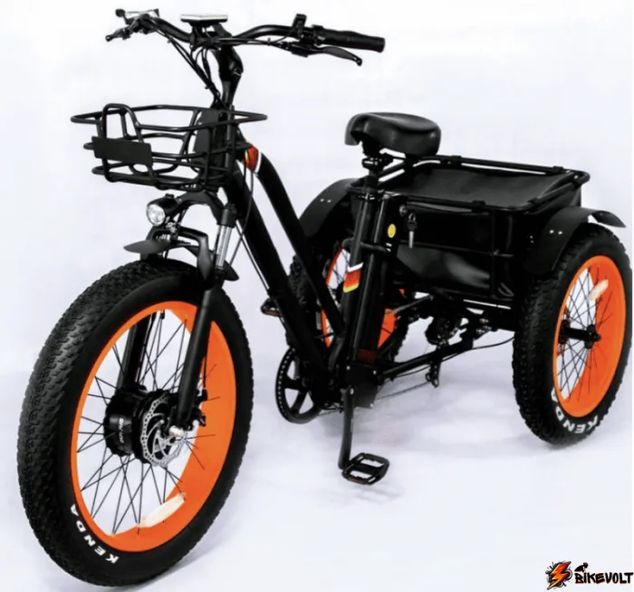 Трехколесный электровелосипед Etoro Grande Panda 750W 20 — изображение 1