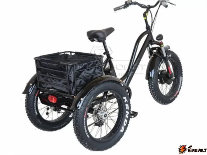 Трехколесный электровелосипед Etoro Grande Panda 750W 20 — изображение 3