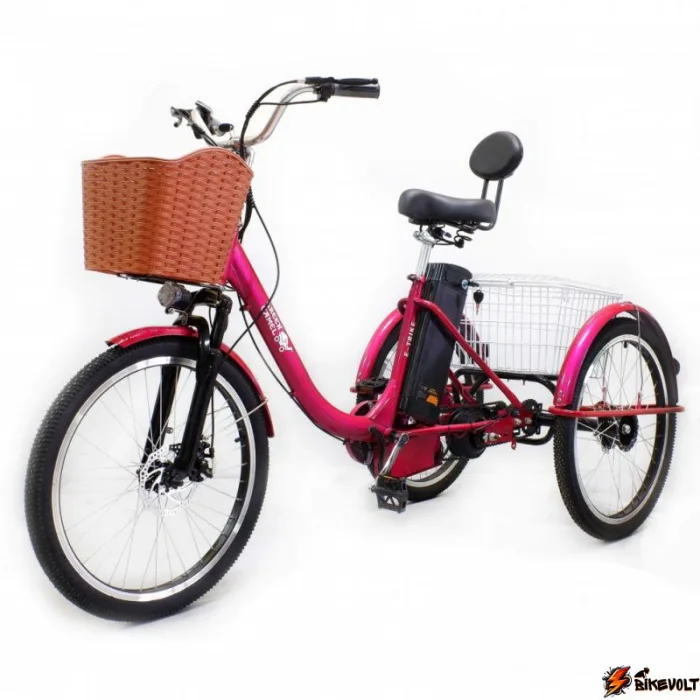 Электровелосипед GreenCamel Трайк-B (R24 500W)(уценка,повреждения ЛКП) — изображение 2