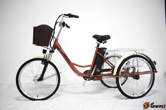 Трехколесный электровелосипед GreenCamel Трайк-20 (R20 500W 48V 15Ah) Складной — изображение 16