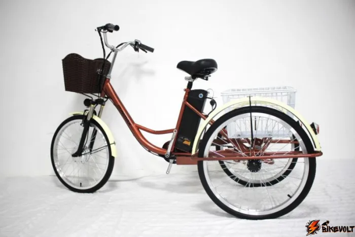 Трехколесный электровелосипед GreenCamel Трайк-20 (R20 500W 48V 15Ah) Складной — изображение 9