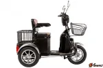 Трицикл Rutrike S1 V2 500W 48v 18Ah - электроскутер — изображение 3