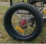 Электровелосипед трехколесный bikevolt Big Daddy 1000W 200kg — изображение 5