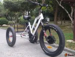 Электровелосипед трехколесный bikevolt Big Daddy 1000W 200kg — изображение 6