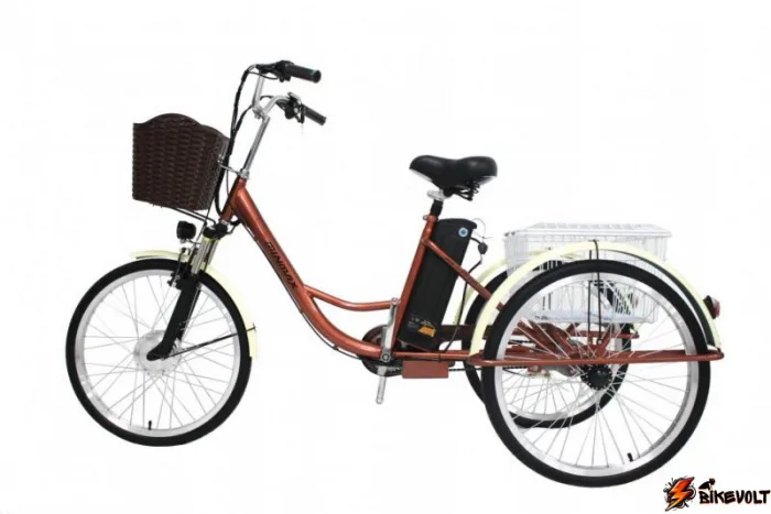 Трехколесный электровелосипед GreenCamel Трайк-20 (R20 500W 48V 15Ah) Складной — изображение 6