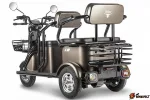 Электротрицикл Rutrike Караван — изображение 6