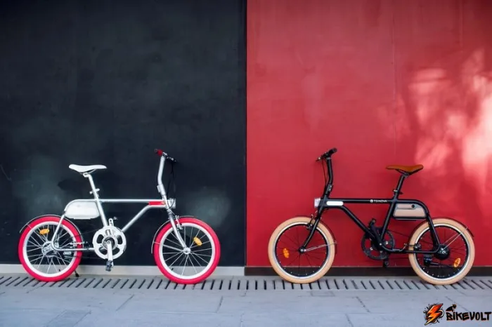 ВЕЛОГИБРИД TSINOVA — изображение 2